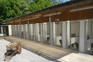 Cow Hill Dog Kennels Preston Lancashire