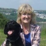 cow hill dog kennels testimonial