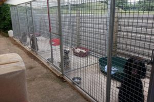 dog kennel security and Insurance