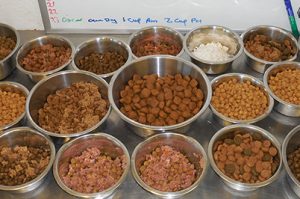 Cow Hill Kennels Dog Nutrition