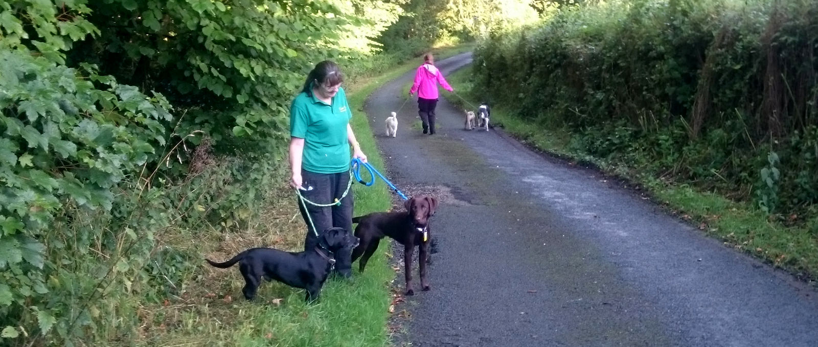 Doggy Day Care Preston, Lancashire