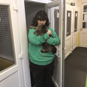 Maizie animal carer at Cow Hill Kennels