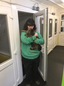 Maizie, animal carer at Cow Hill Kennels