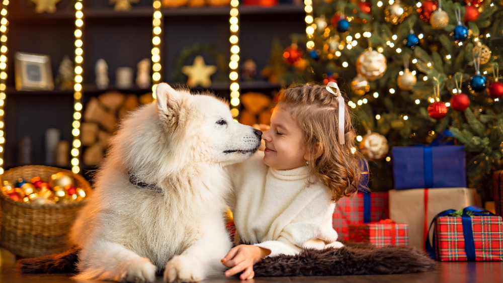 Stress free Christmas for you and your dogs. Child pictured kissing her dog.