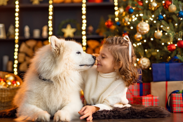 Stress free Christmas for you and your dogs. Child pictured kissing her dog.